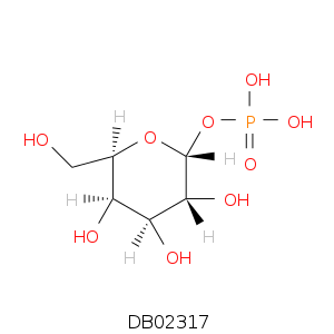 DB02317.smi.png