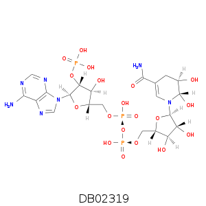 DB02319.smi.png