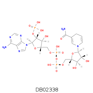 DB02338.smi.png