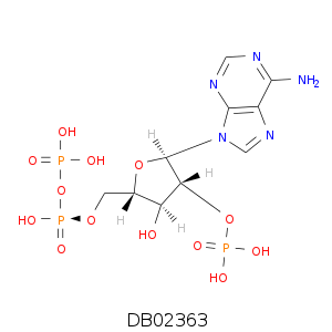 DB02363.smi.png
