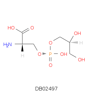 DB02497.smi.png
