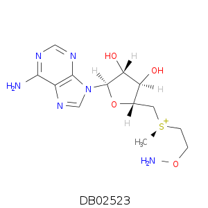 DB02523.smi.png