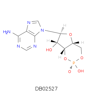 DB02527.smi.png
