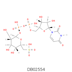 DB02554.smi.png