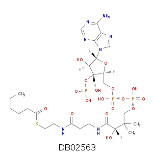 DB02563.smi.png