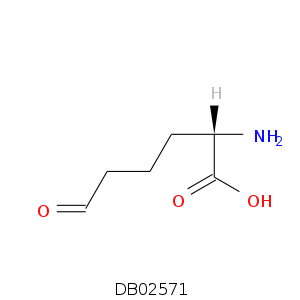 DB02571.smi.png