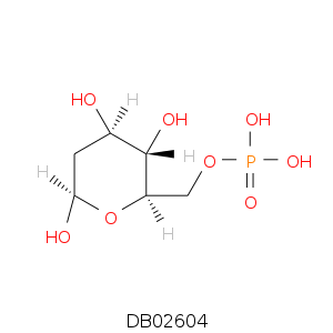 DB02604.smi.png