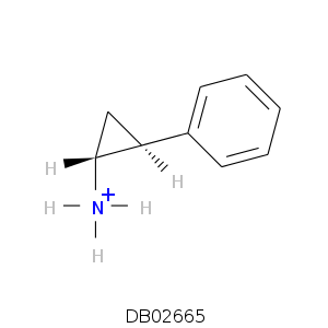 DB02665.smi.png