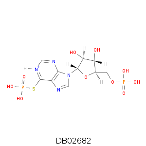 DB02682.smi.png