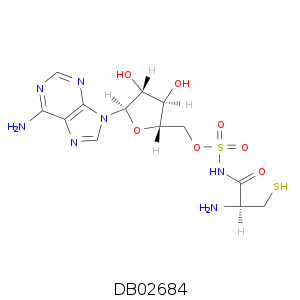 DB02684.smi.png