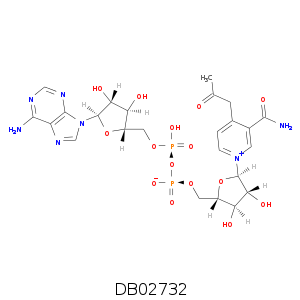 DB02732.smi.png