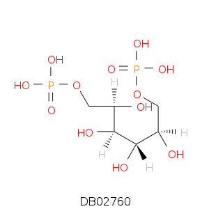 DB02760.smi.png