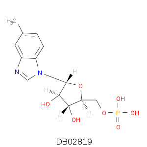 DB02819.smi.png