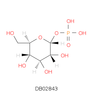 DB02843.smi.png