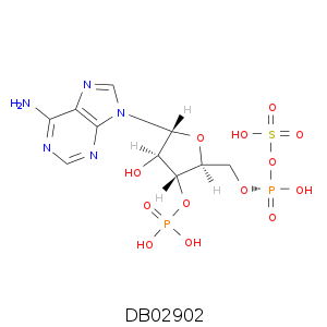 DB02902.smi.png