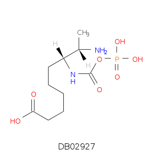 DB02927.smi.png