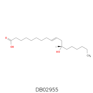 DB02955.smi.png