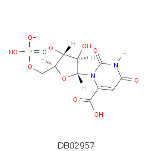 DB02957.smi.png