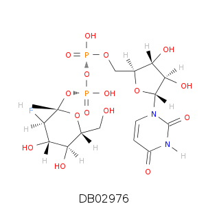 DB02976.smi.png