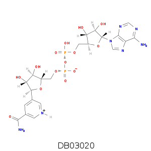 DB03020.smi.png