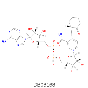 DB03168.smi.png