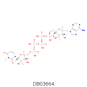 DB03664.smi.png