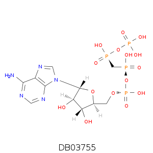 DB03755.smi.png