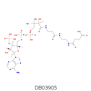 DB03905.smi.png