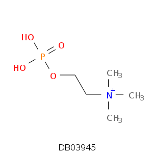 DB03945.smi.png