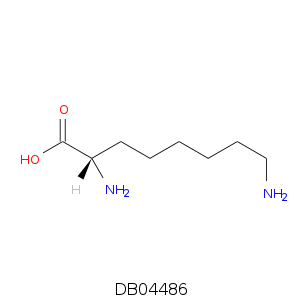 DB04486.smi.png