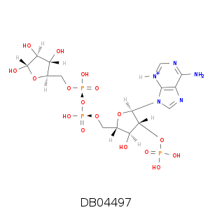 DB04497.smi.png
