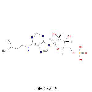 DB07205.smi.png