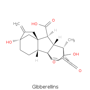 Gibberellins.smi.png