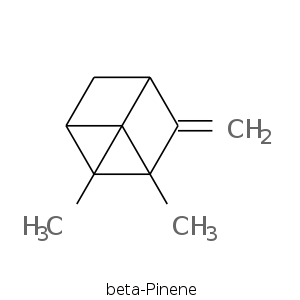 beta-Pinene.smi.png