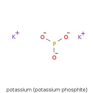 potassium_(potassium.smi.png